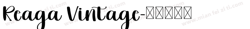 Reaga Vintage字体转换